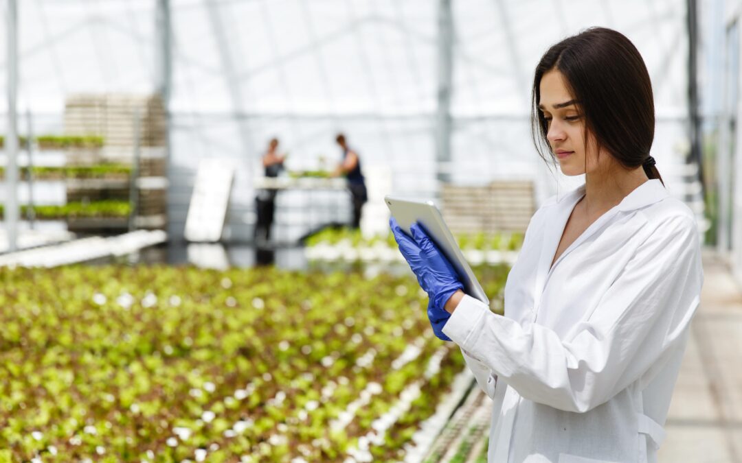 Research and Development for Agricultural Production Policy for Export Promotion