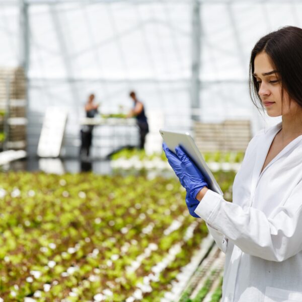 Research and Development for Agricultural Production Policy for Export Promotion