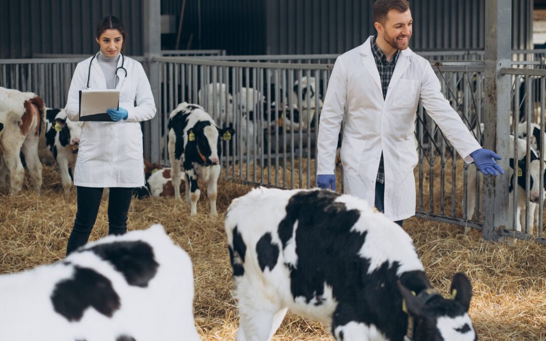 Study And Analysis For Animal Protection Law